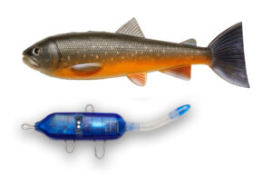 Pulz Bait Starter Kit Arctic Char